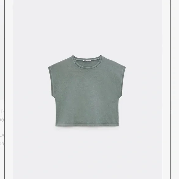 Zara Short-Sleeved T-Shirt in Pearl Grey size Medium - Picture 3 of 11